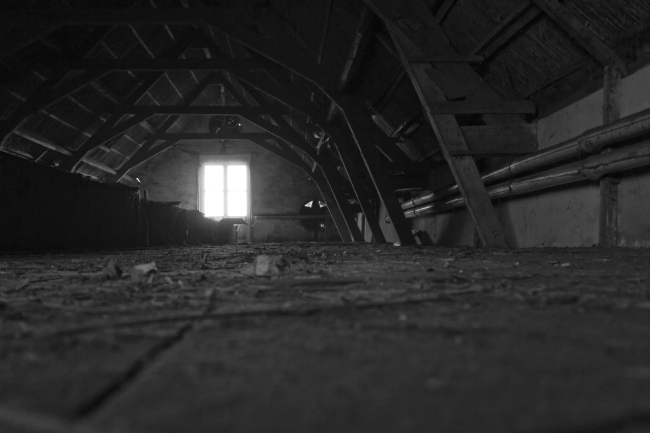 Alpha Bat Removal - Attic Restoration